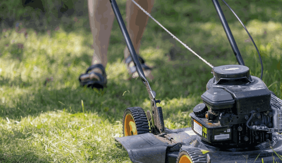 Gardening and grounds